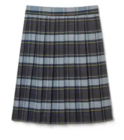 Plaid Pleated Skirt — Blue & Gold Plaid